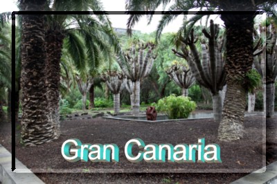 Gran Canaria Link