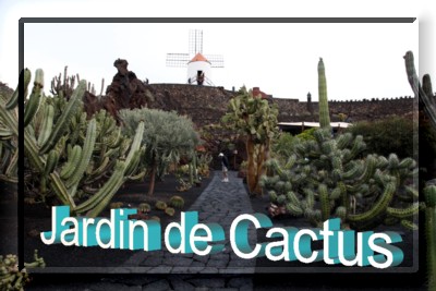 Jardín de Cactus 3 Link